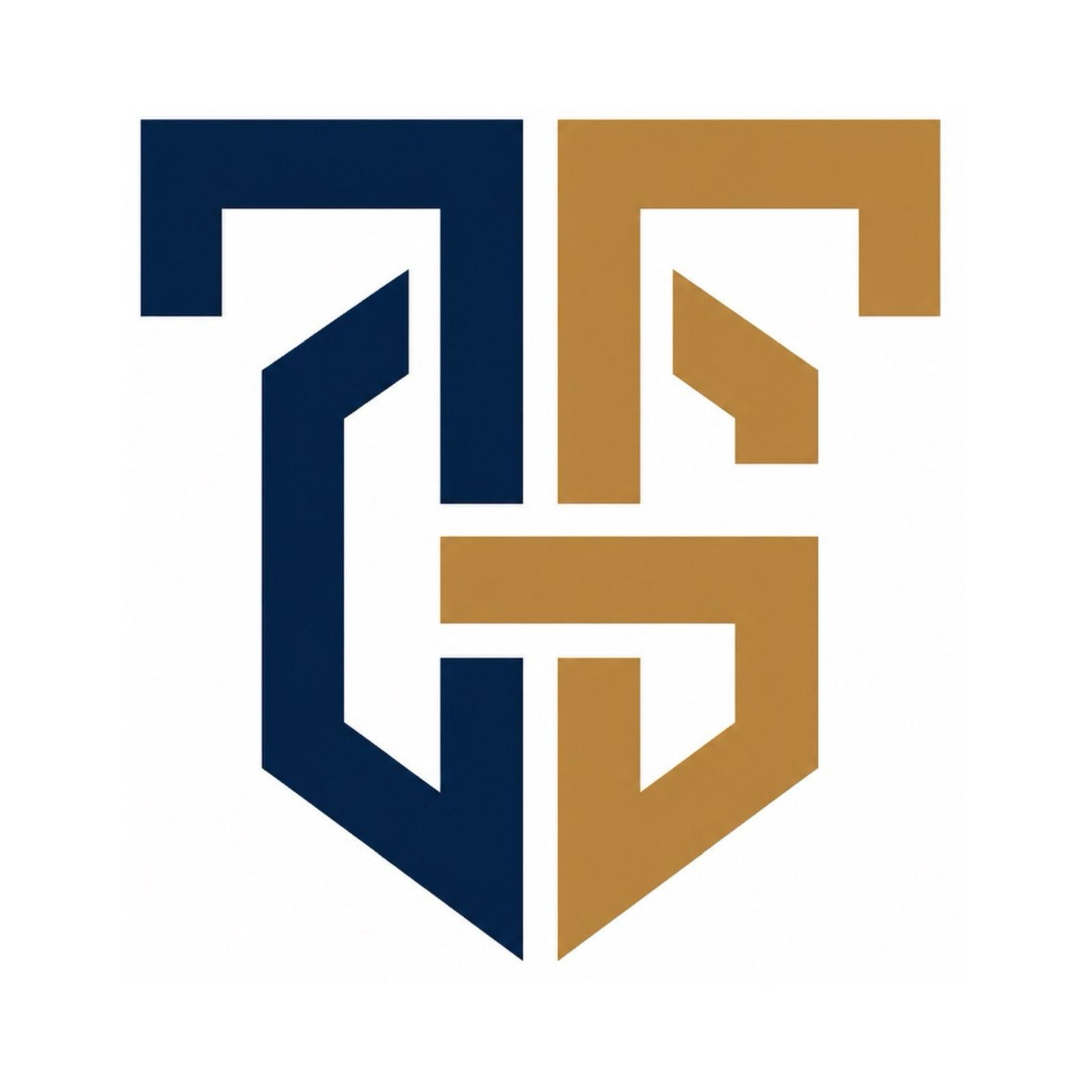 Teo Governance Advisory